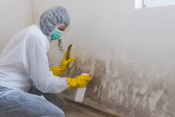 Best Crawl Space Mold Removal  in Urbancrest, OH
