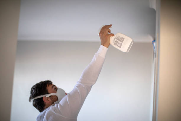 Best Mold Testing and Removal  in Urbancrest, OH