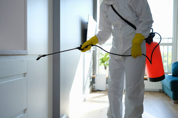 Best Toxic Mold Removal  in Urbancrest, OH